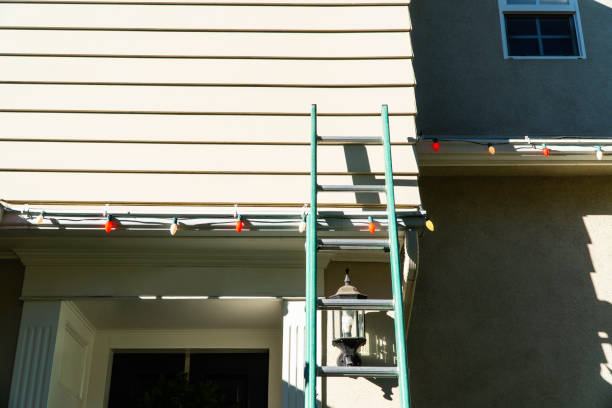 Best Historical Building Siding Restoration  in Ironde, AL