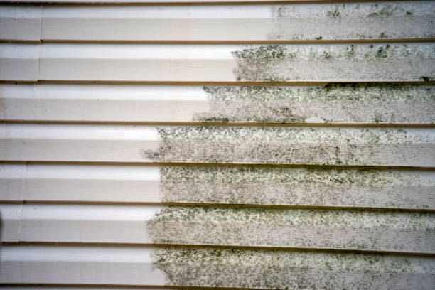 Best Historical Building Siding Restoration  in Ironde, AL